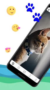 Fotos de gatos screenshot 0