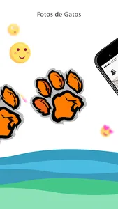 Fotos de gatos screenshot 2