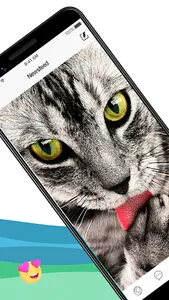 Fotos de gatos screenshot 3