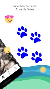 Fotos de gatos screenshot 9