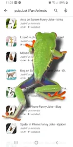 Frog walking on screen joke screenshot 3