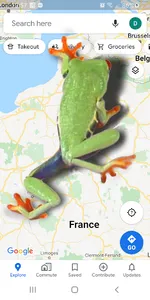 Frog walking on screen joke screenshot 9