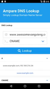 Ampare DNS Lookup Pro screenshot 0