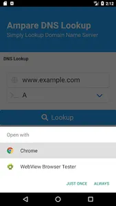 Ampare DNS Lookup Pro screenshot 1