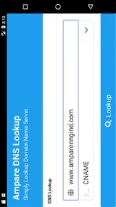 Ampare DNS Lookup Pro screenshot 2