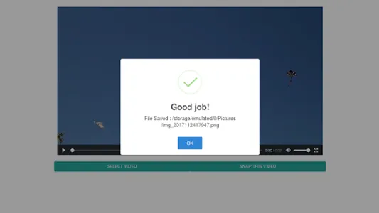 Ampare Save Picture From Video screenshot 2