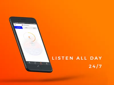 DataFree Internet Radio - 1Box screenshot 3