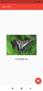 나비야 - 나비검색 screenshot 0