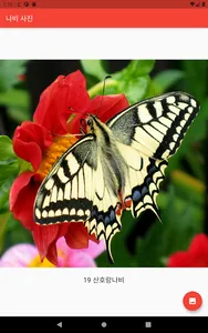 나비야 - 나비검색 screenshot 2