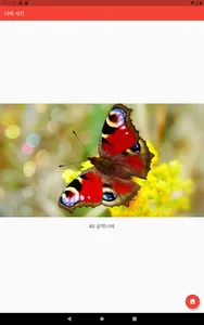 나비야 - 나비검색 screenshot 3
