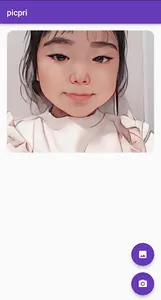 picpri screenshot 7