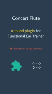 Concert Flute *Plugin* screenshot 0