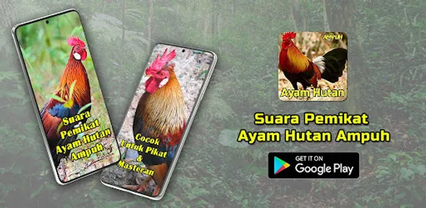 Suara Pemikat Ayam Hutan Ampuh screenshot 0