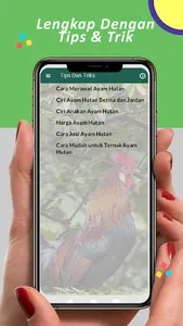 Suara Pemikat Ayam Hutan Ampuh screenshot 3