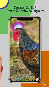 Suara Pemikat Ayam Hutan Ampuh screenshot 4