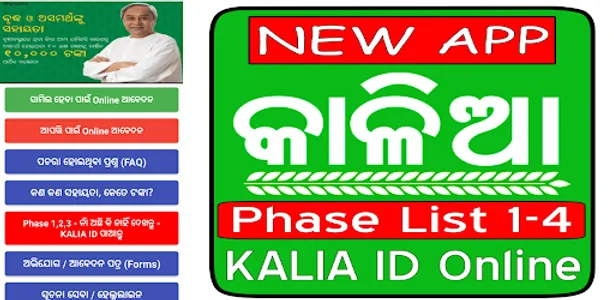 Odisha Kalia Yojana Info screenshot 9