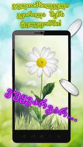 გვირილა screenshot 0