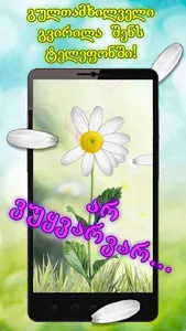 გვირილა screenshot 1