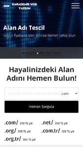 KarademirWeb Tasarım screenshot 1