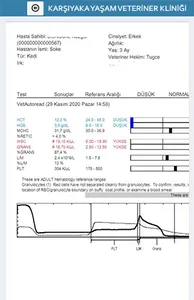 Karşıyaka Yaşam Veteriner screenshot 5
