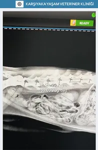 Karşıyaka Yaşam Veteriner screenshot 6