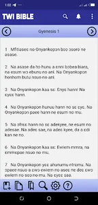 Kasalingua Offline Akan Bible screenshot 10