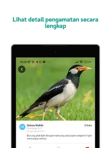 RMU Biodiversity screenshot 22