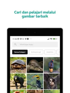 RMU Biodiversity screenshot 9