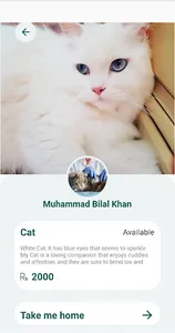 Pets Cure screenshot 2
