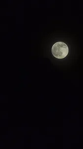 Black Wallpapers screenshot 1
