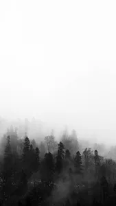 Black Wallpapers screenshot 2