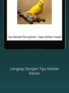 Masteran Kenari Gacor Ngerol screenshot 11