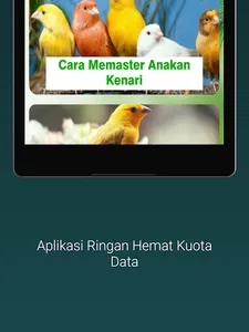 Masteran Kenari Gacor Ngerol screenshot 7