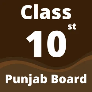 10th Class Punjabi Book screenshot 0