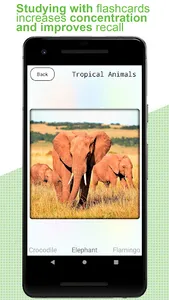 Flashcards for kids: Animals screenshot 13