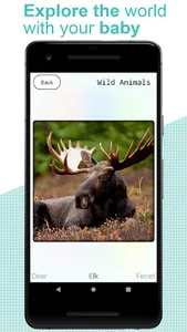 Flashcards for kids: Animals screenshot 19