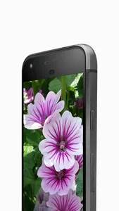 Flower Bunga Wallpaper screenshot 0