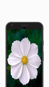 Flower Bunga Wallpaper screenshot 1