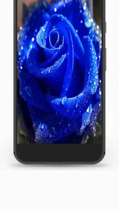 Flower Bunga Wallpaper screenshot 2