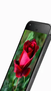 Flower Bunga Wallpaper screenshot 4
