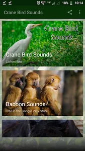 Crane Bird Sounds screenshot 0