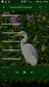 Crane Bird Sounds screenshot 1