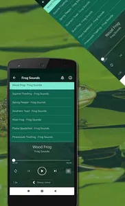 Frog Sounds screenshot 3