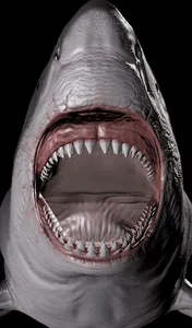 Great White Shark Prank Call screenshot 14