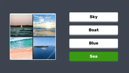 Quiz: 4 Pics Game screenshot 7