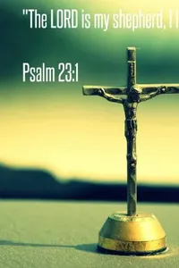 Bible Quotes screenshot 2