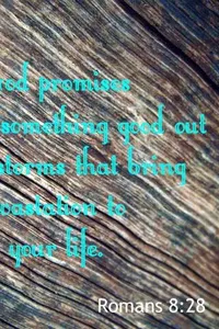 Bible Quotes screenshot 3