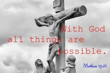Bible Quotes screenshot 4