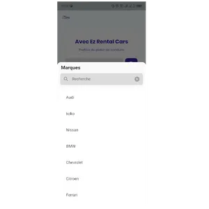 Ez rental cars screenshot 3