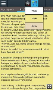 Istana Paku Bulan screenshot 10